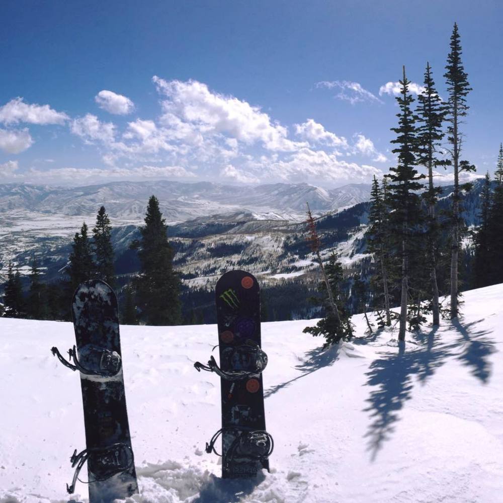 Meet your Posher, Rylan